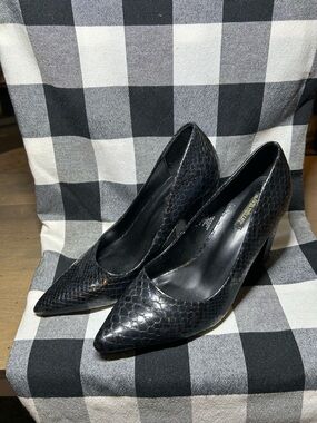 Olivia Miller Black/Blue Snakeskin-Texture Pointed Toe Pumps